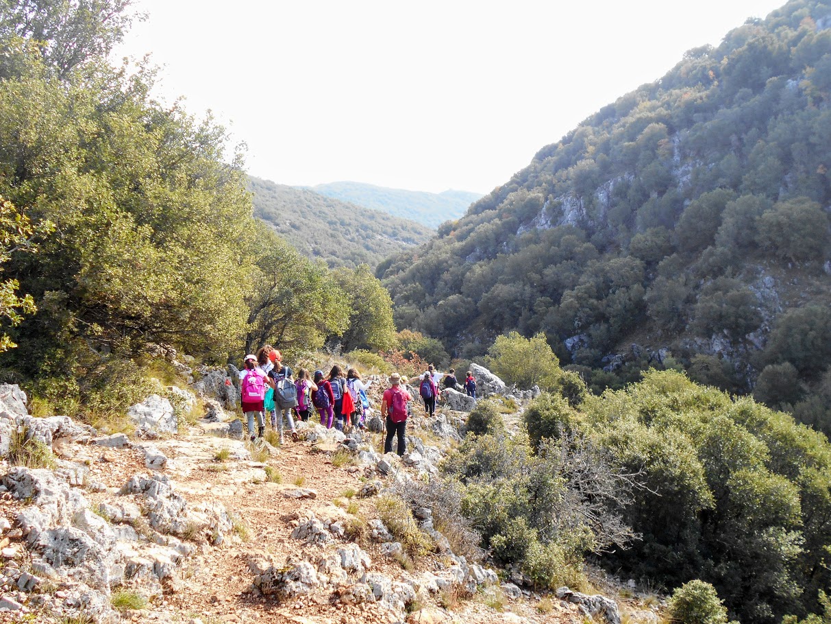 Camps d’automne 2018 : Découverte de la montagne et écotourisme à Karies Lakonias-0