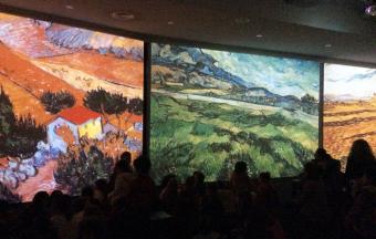 Les classes de CP du LFHED à l'étude du peintre Van Gogh-7
