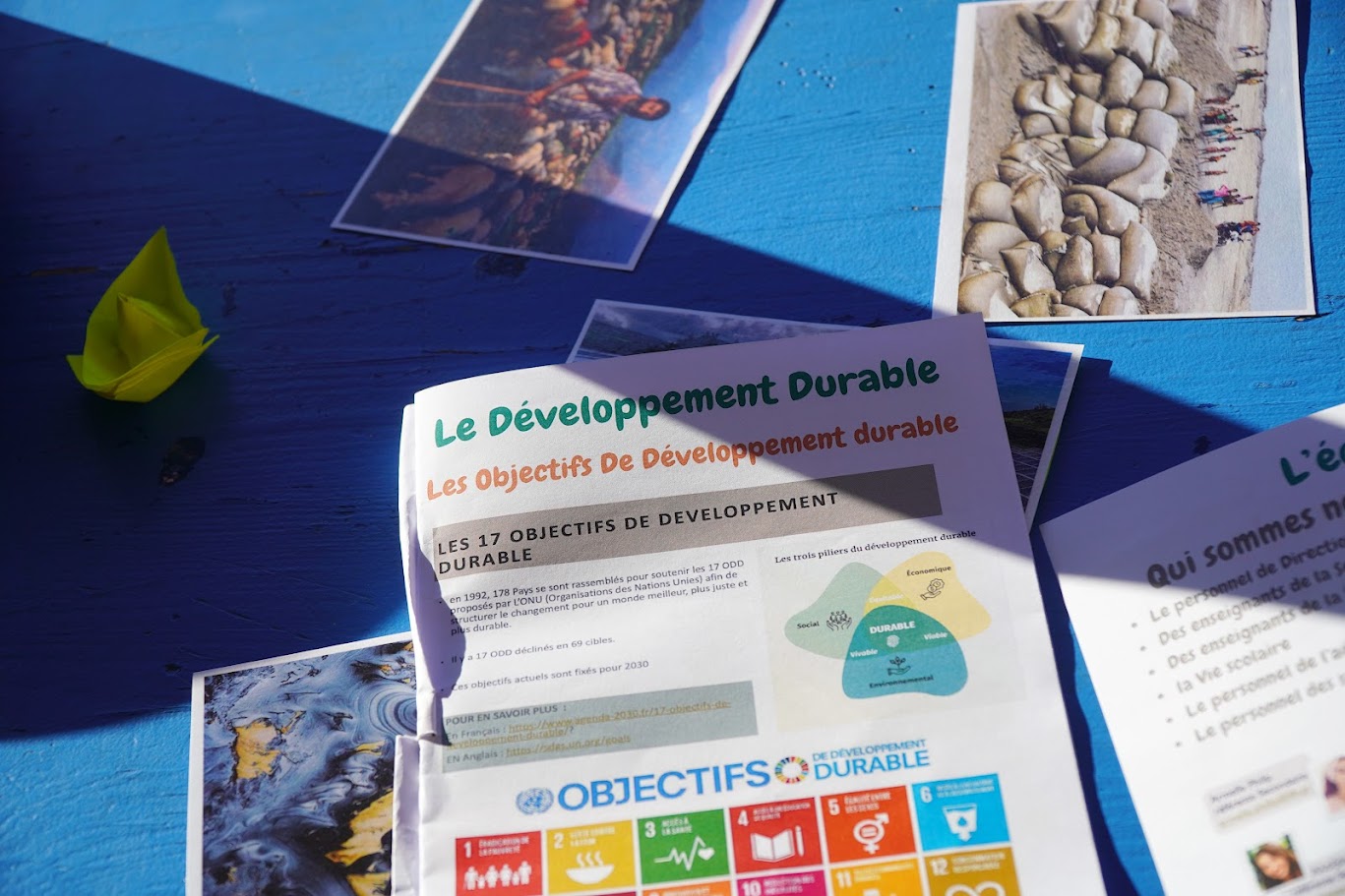 Des éco-délégués engagés au Lycée franco-hellénique Eugène Delacroix !-9