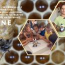 Les Robeez, un projet où les CM1 butinent entre nature et robotique !