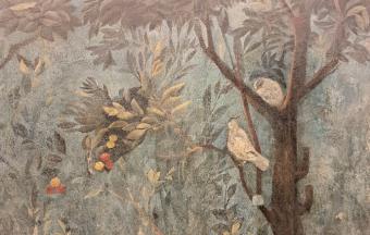 Voyage des Tle HLP et NSI à Rome pour une cartographie des controverses-5