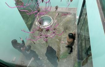 Les élèves de LLCE à la découverte de l'art contemporain-2