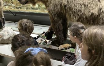 Les CE1 au musée d’Histoire naturelle Goulandris !-8