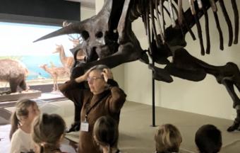 Les CE1 au musée d’Histoire naturelle Goulandris !-9