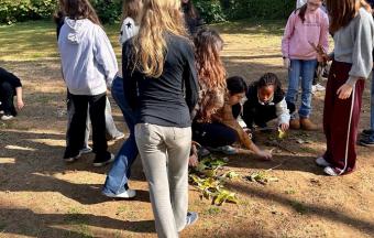 « Une promenade écologique dans le Jardin national »-1