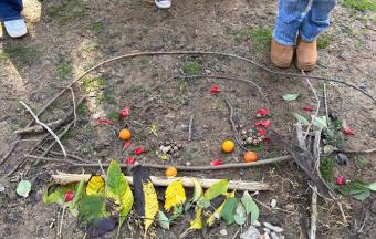 « Une promenade écologique dans le Jardin national »-2