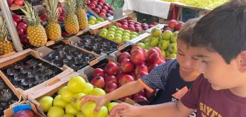 Le primaire fête la semaine du goût !