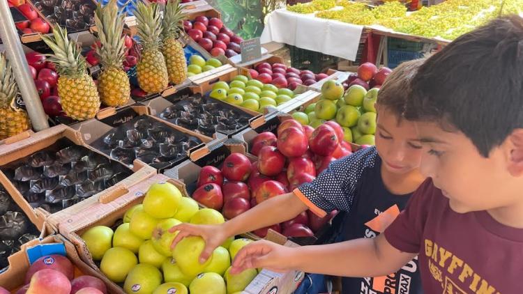 Le primaire fête la semaine du goût !