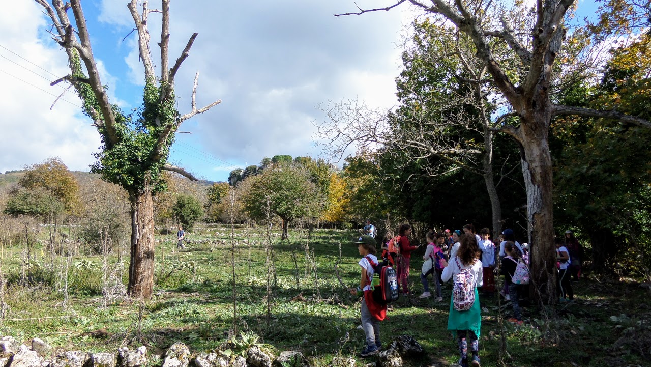 Camps d’automne 2018 : Découverte de la montagne et écotourisme à Karies Lakonias-2